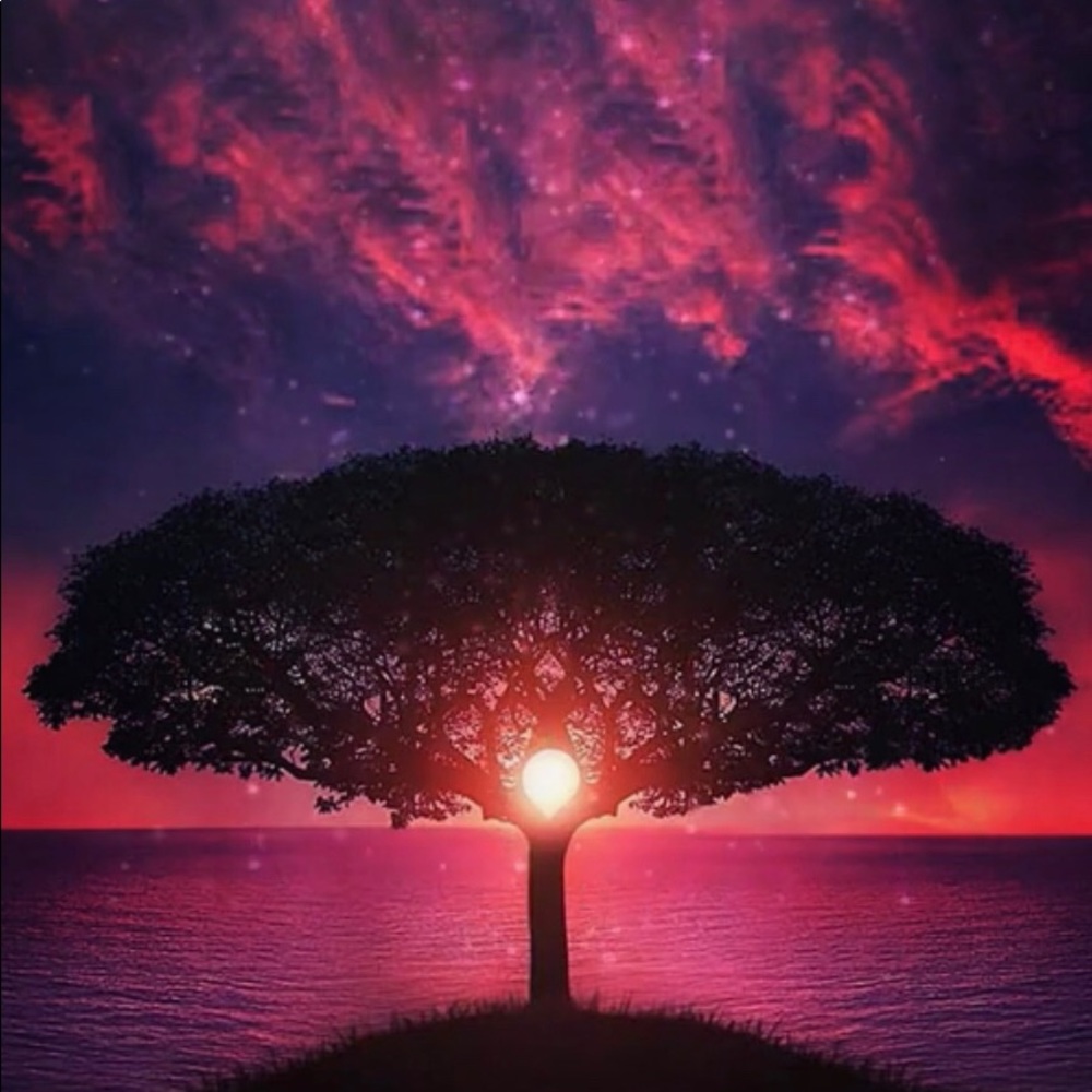 Meet your Posher, Martin